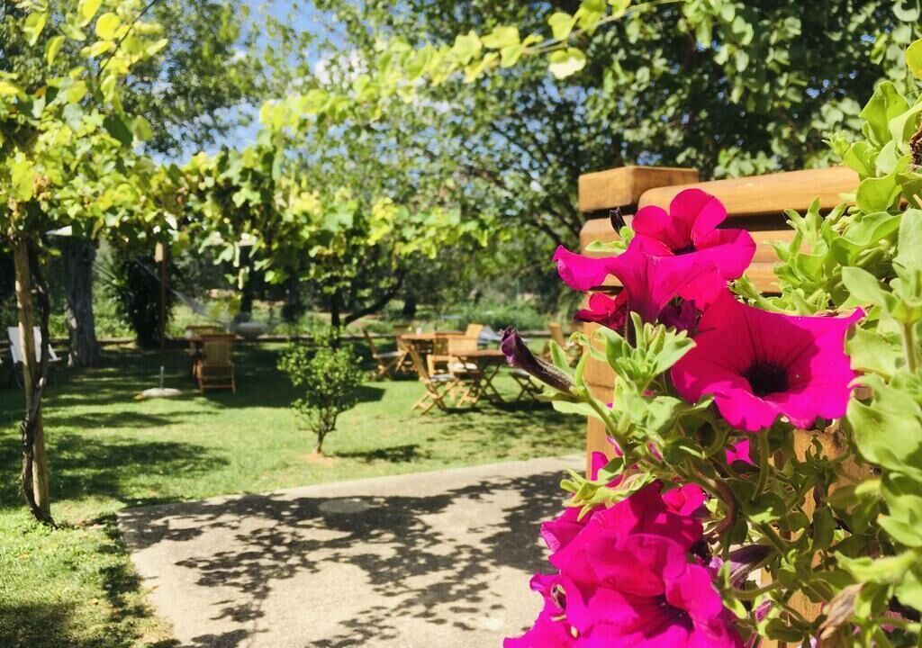 Photo of Outdoor in Nuova Cliternia