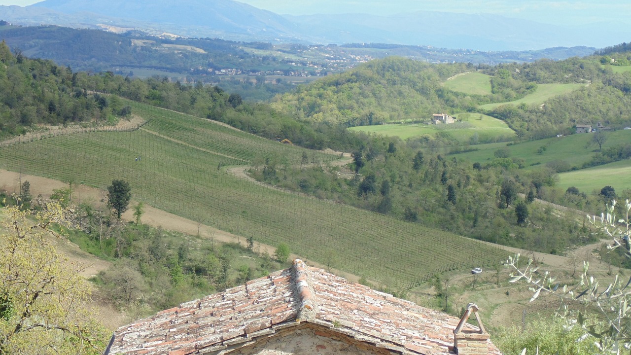 Photo of Outdoor in Montelovesco