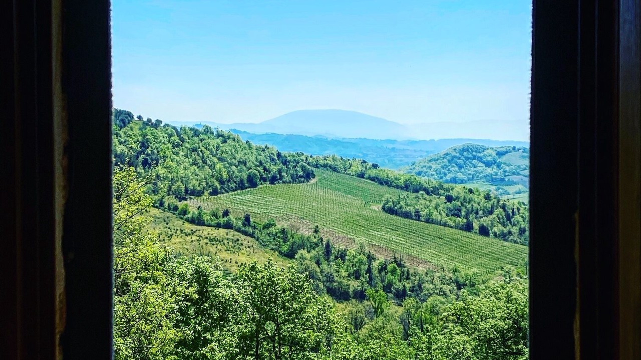 Photo of Others in Montelovesco