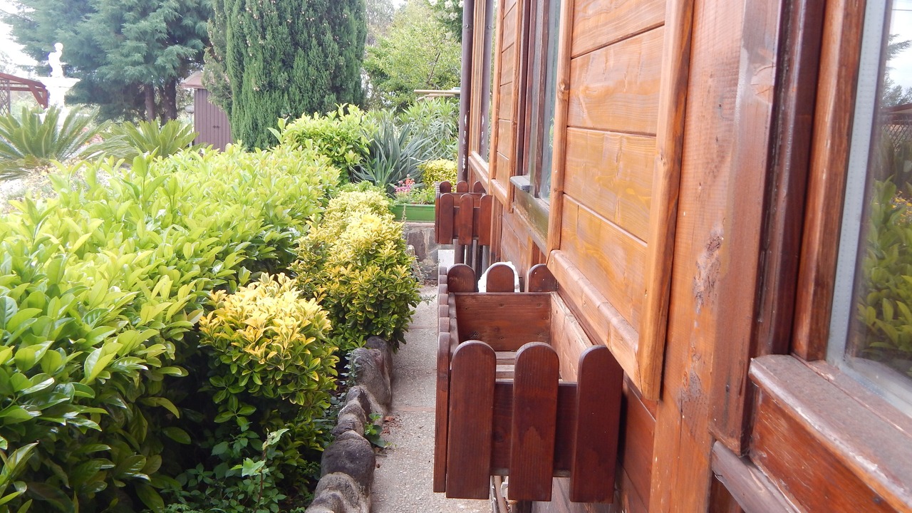 Photo of Outdoor in Cerveteri