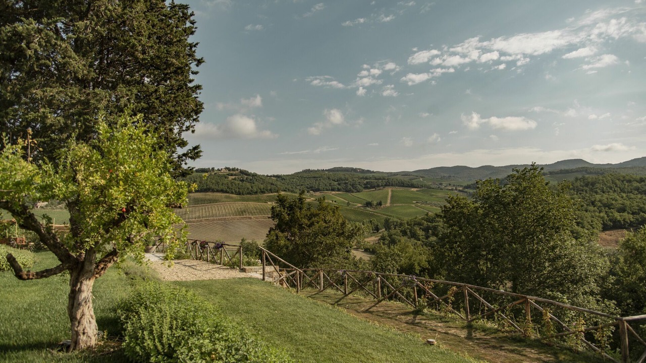 Photo of Others in Radda in Chianti