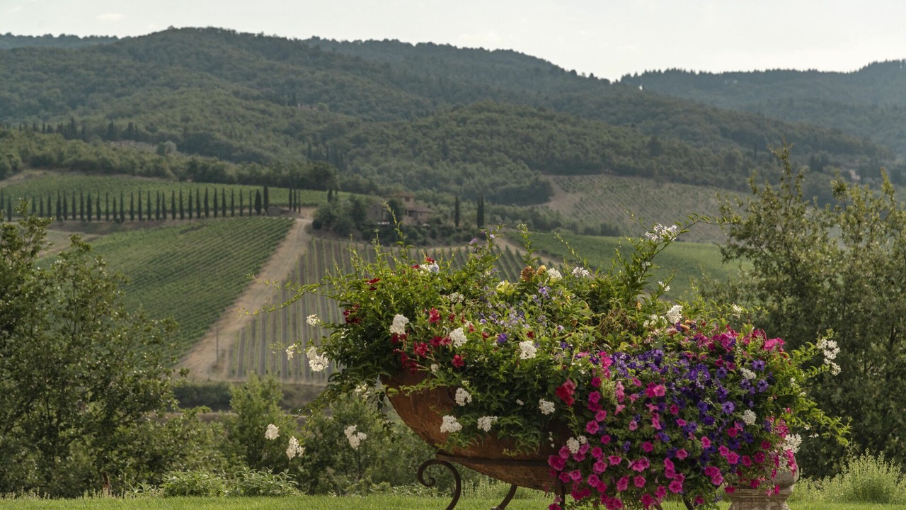 Photo of Outdoor in Radda in Chianti