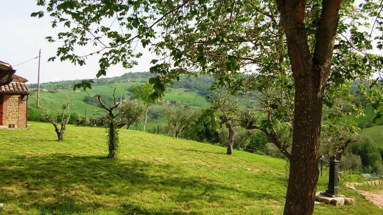 Photo of Outdoor in Gualdo