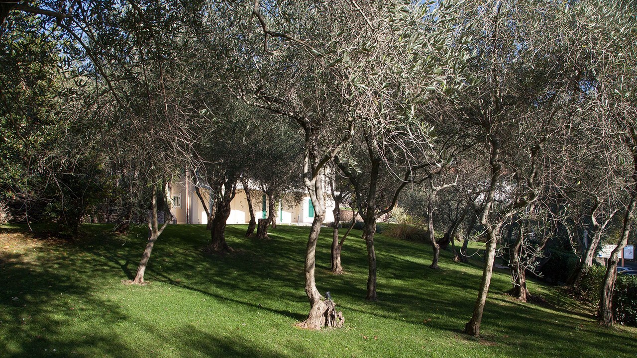 Photo of Outdoor in Tellaro