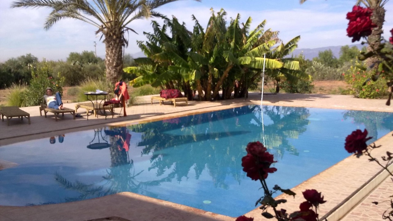 Photo of Outdoor in Sidi Boumoussa