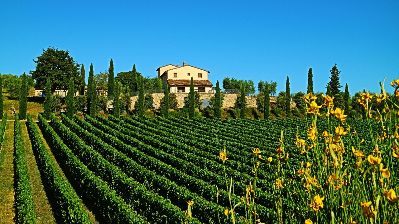 Photo of Outdoor in Sarteano