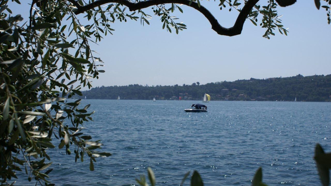 Photo of Others in San Felice del Benaco