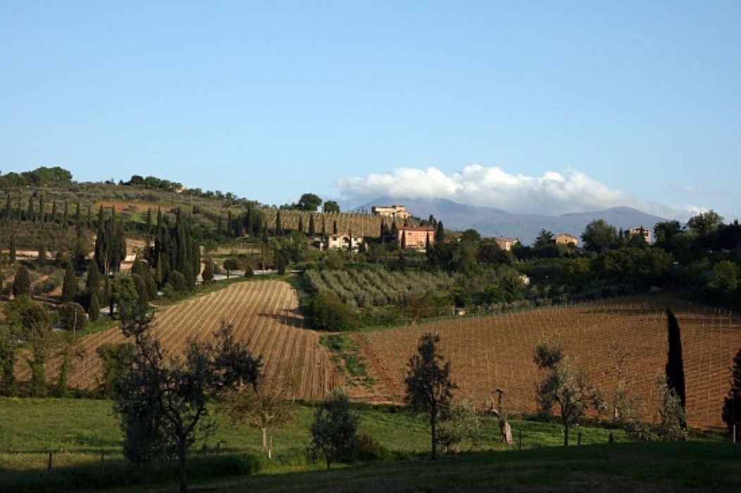 Photo of Others in Cortona Old Town