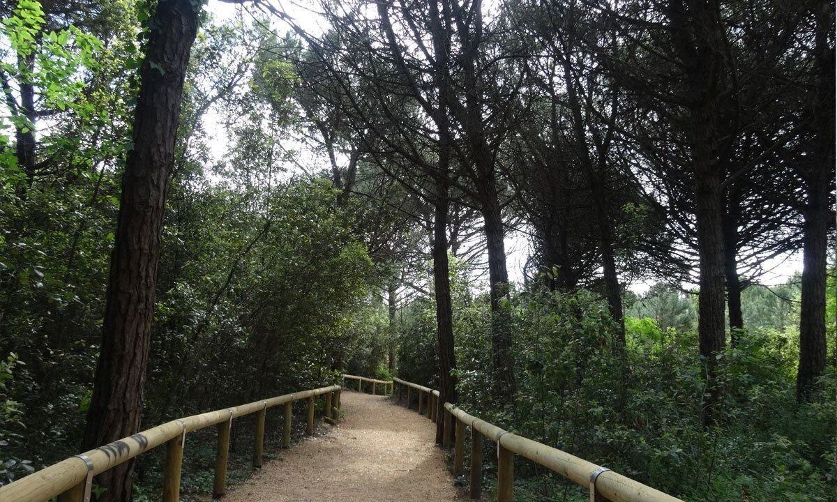 Photo of Outdoor in Eraclea Mare