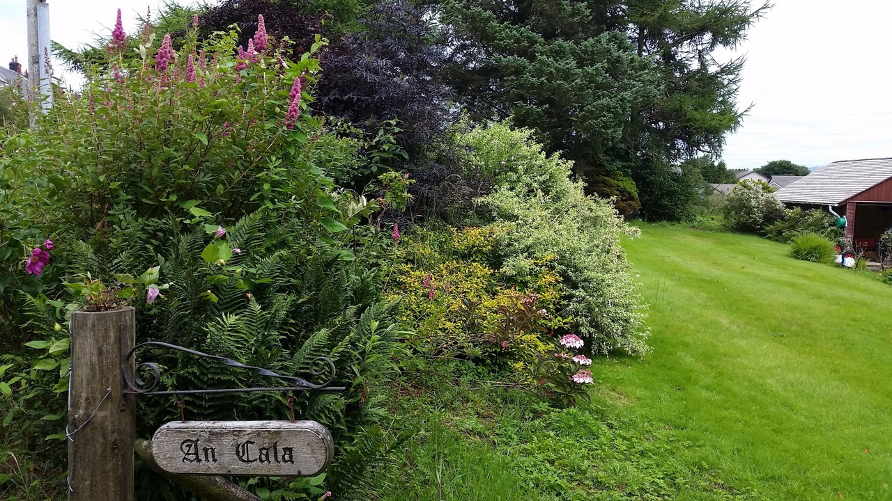 Photo of Outdoor in Tobermory