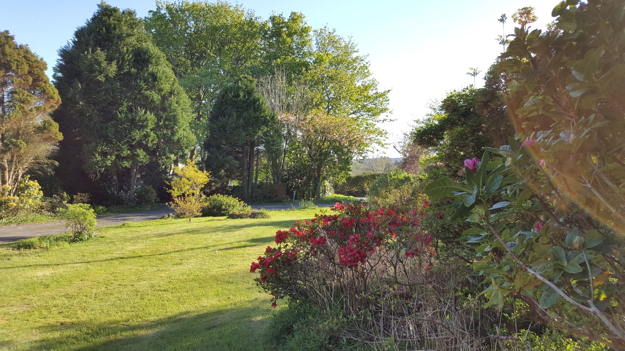 Photo of Outdoor in Tobermory