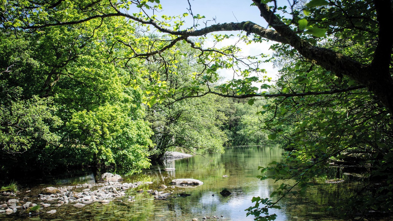 Photo of Others in Elterwater