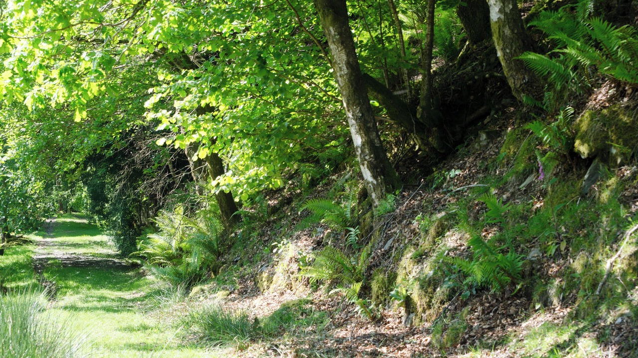 Photo of Others in Elterwater