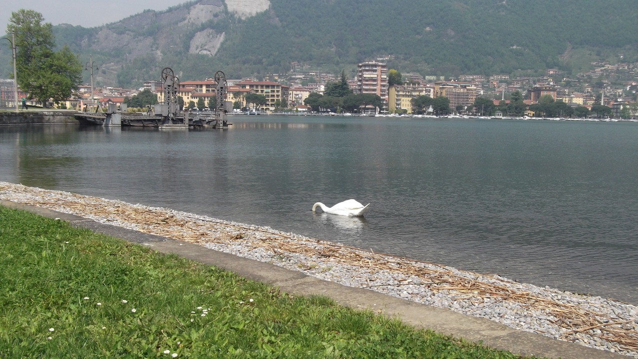 Photo of Others in Paratico