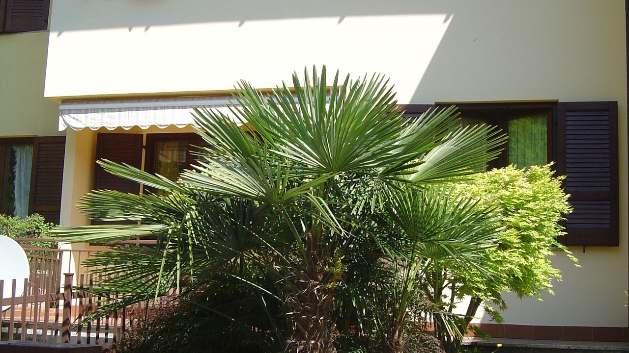 Photo of Outdoor in Paratico