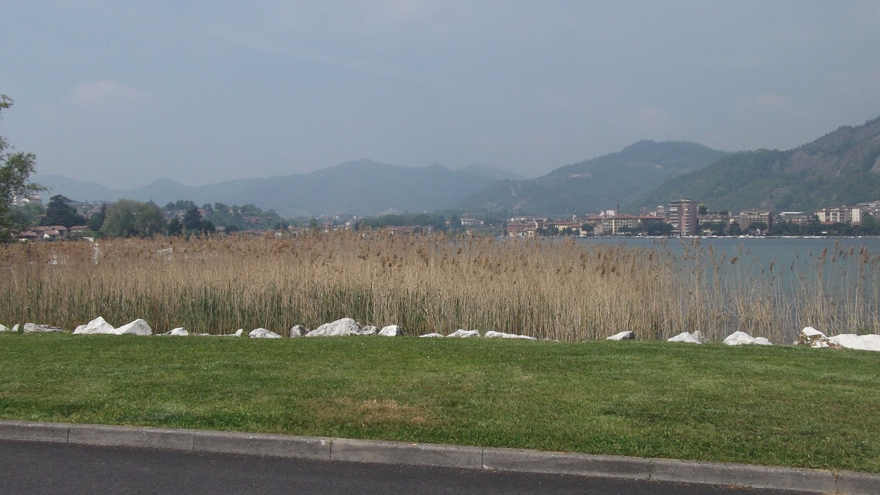 Photo of Others in Paratico
