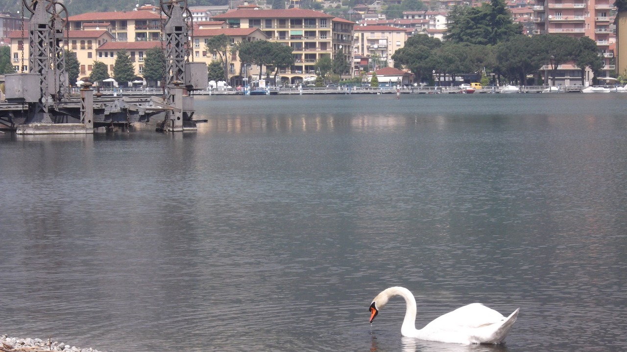 Photo of Outdoor in Paratico