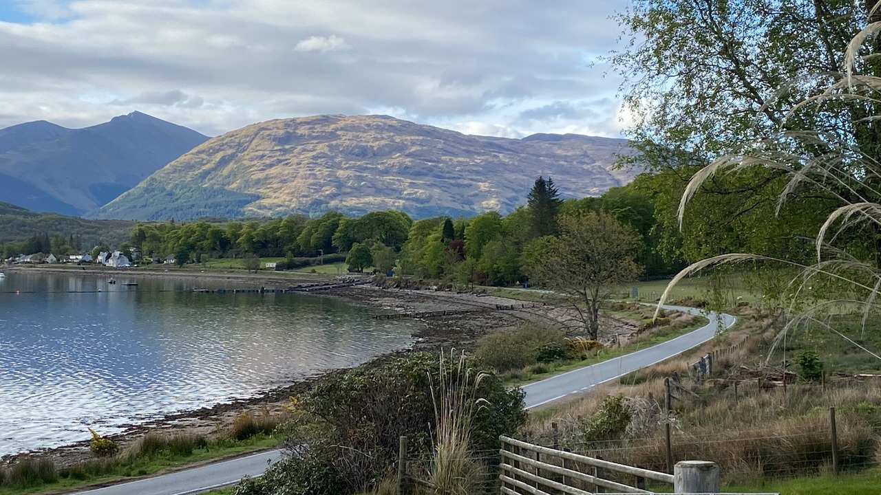 Photo of Others in West Laroch