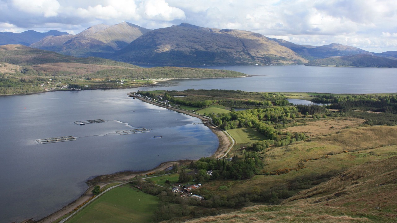 Photo of Outdoor in West Laroch
