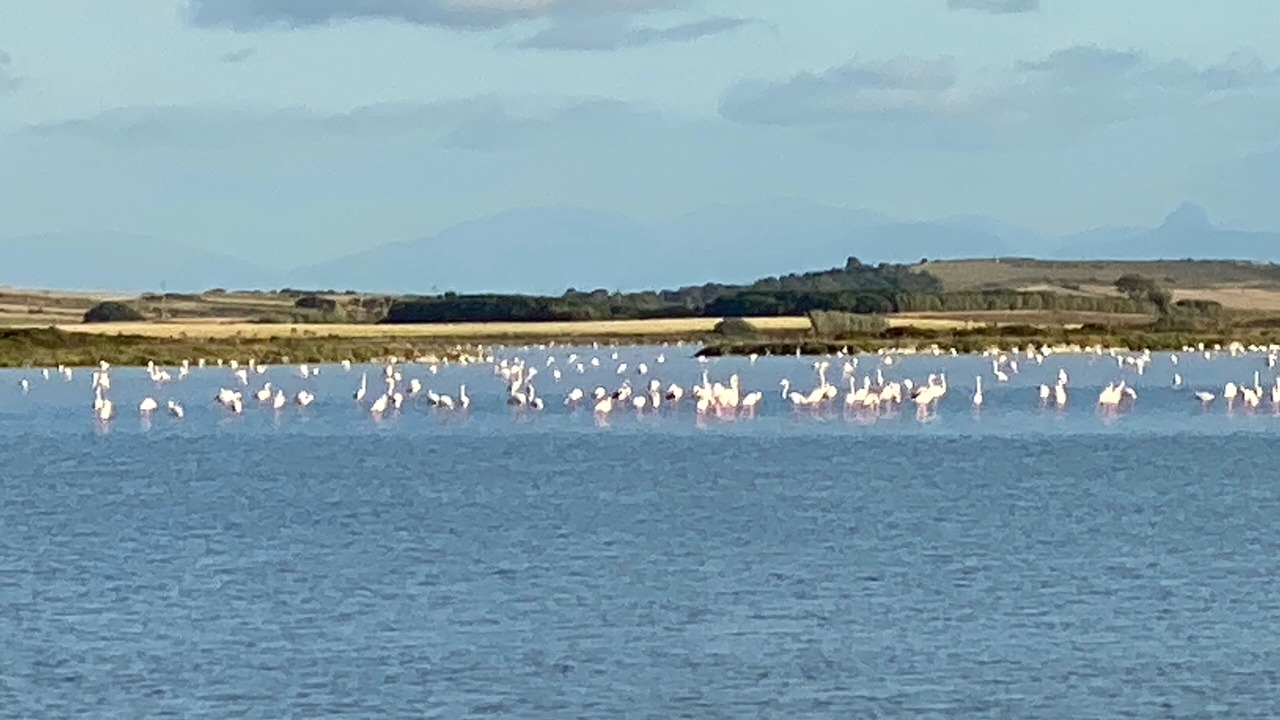 Photo of Others in San Vero Milis