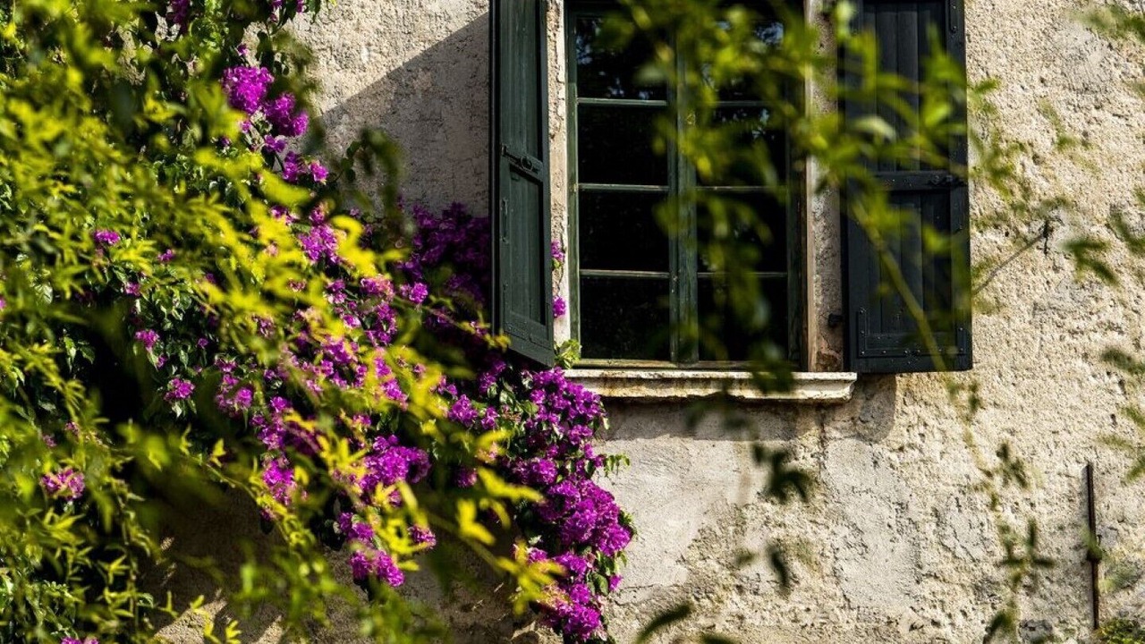 Photo of Outdoor in Portese