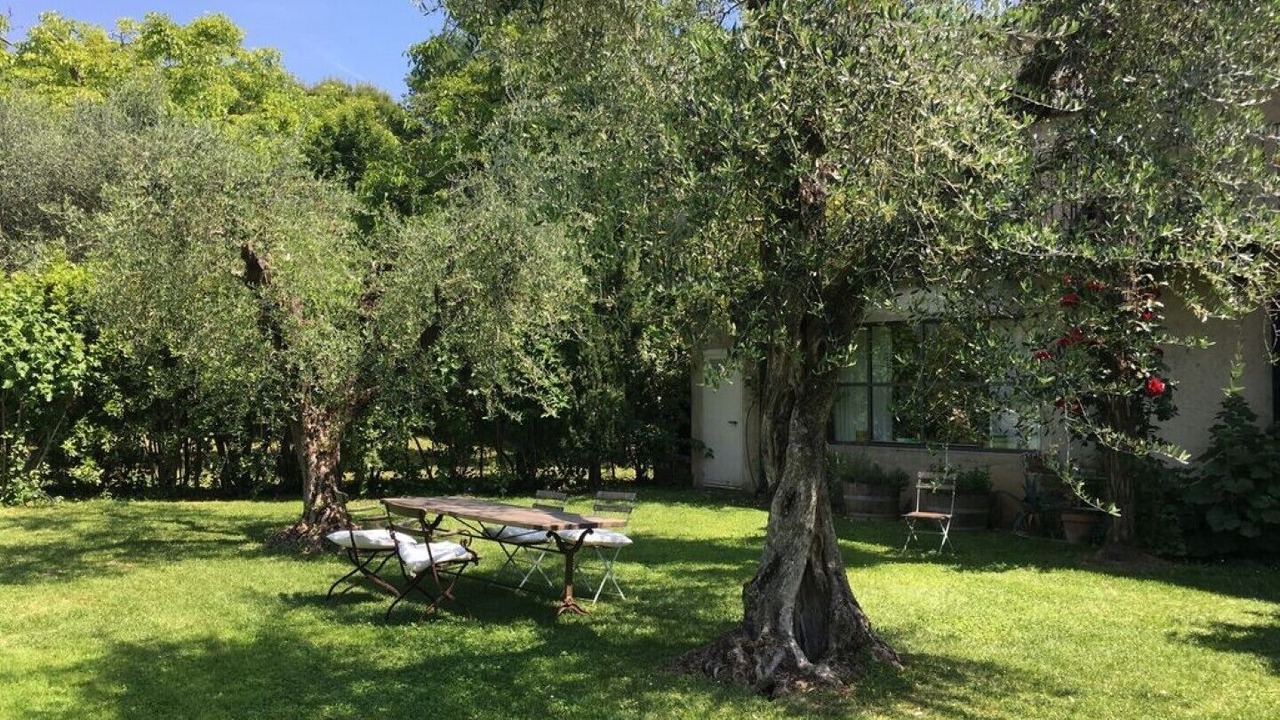 Photo of Outdoor in Portese