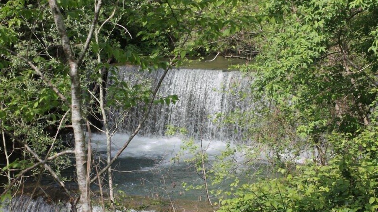 Photo of Others in Terranuova Bracciolini