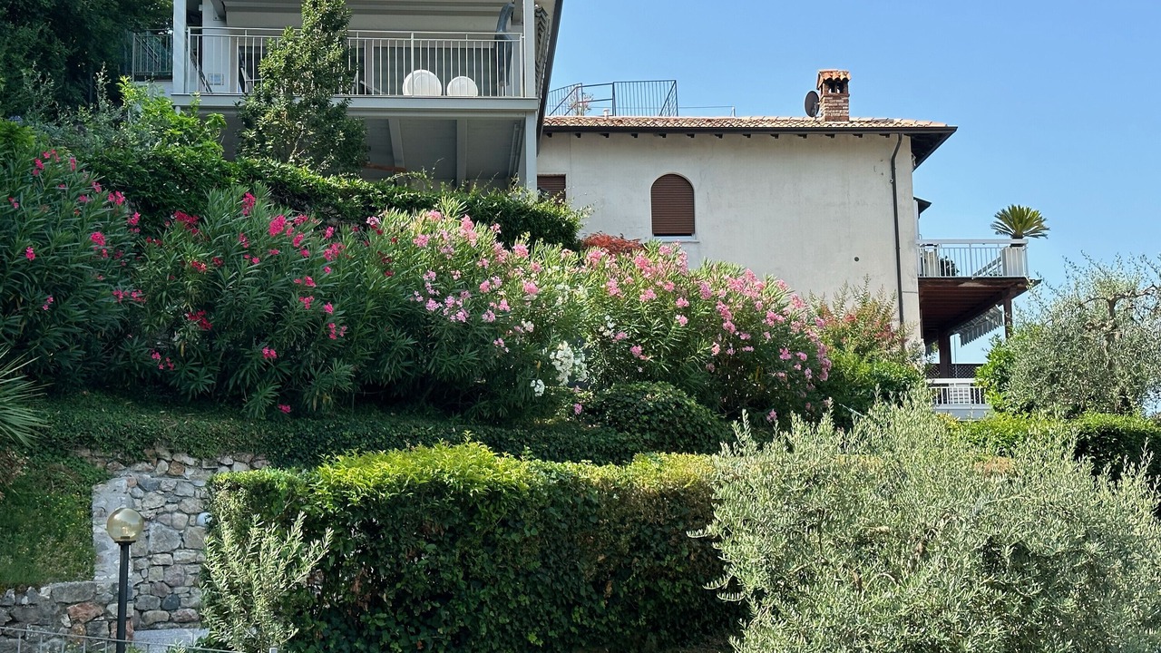 Photo of Outdoor in Frader