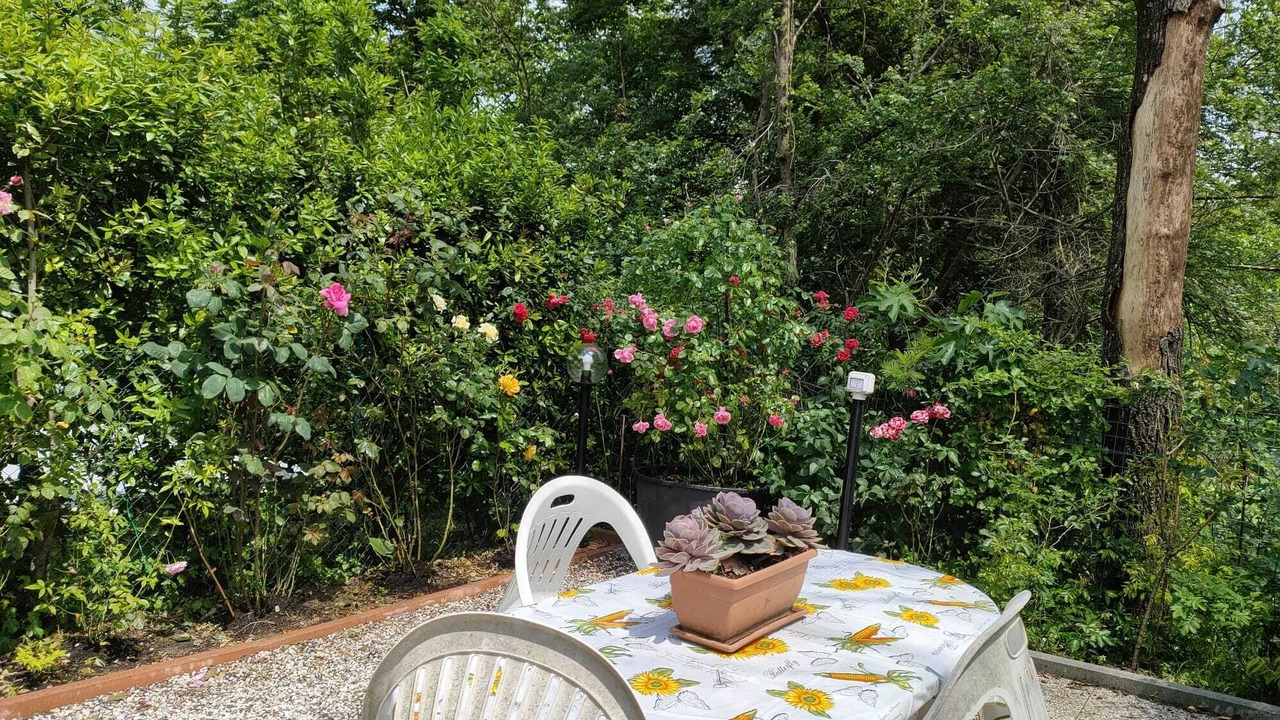 Photo of Outdoor in Borgo San Lorenzo