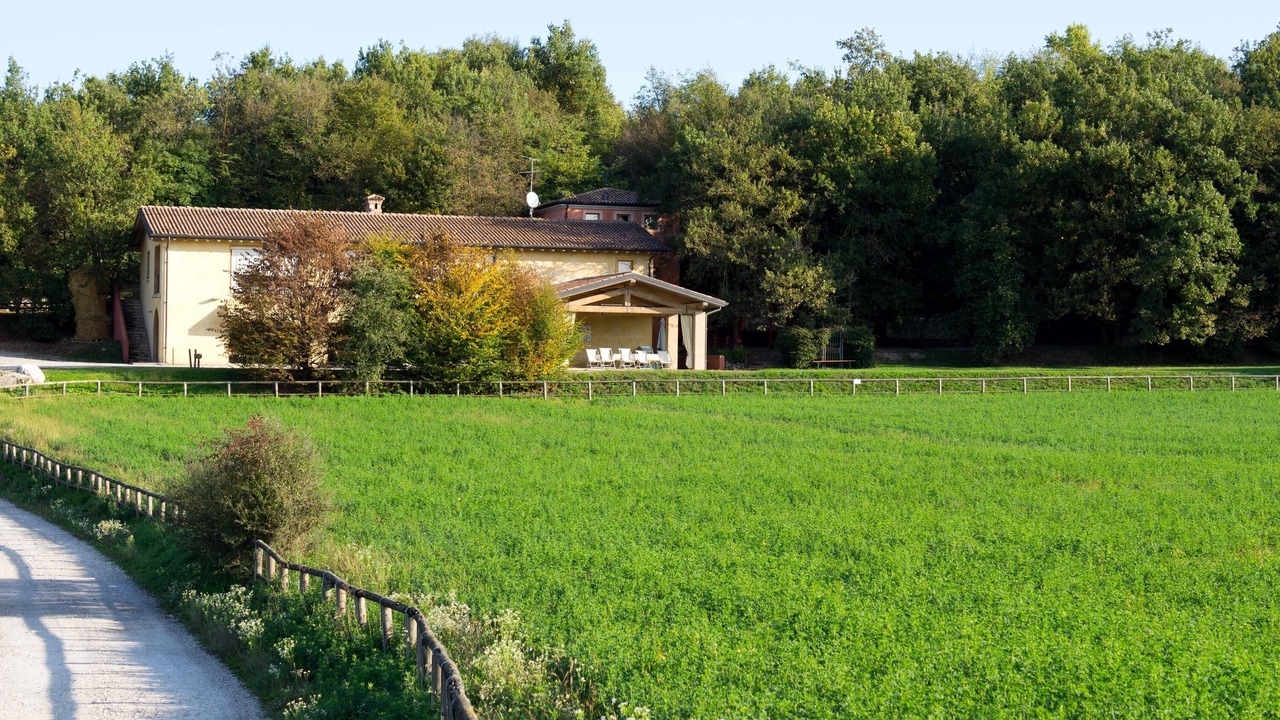 Photo of Outdoor in Gavardo