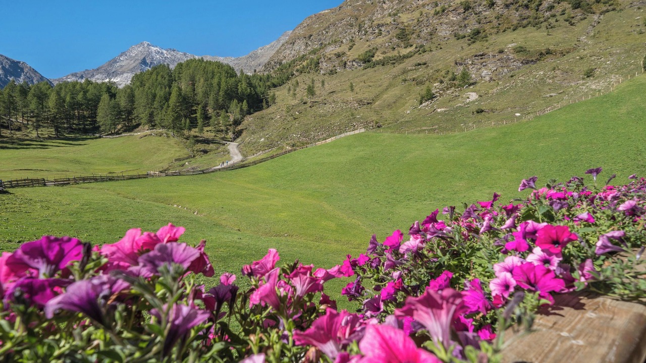 Photo of Outdoor in Plan