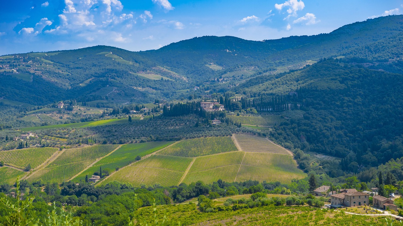 Photo of Others in Panzano in Chianti