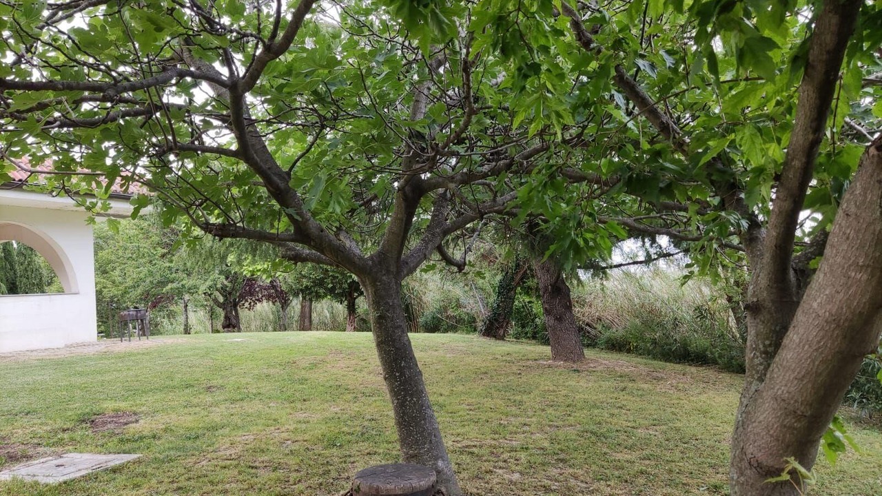 Photo of Outdoor in Montefiore Conca