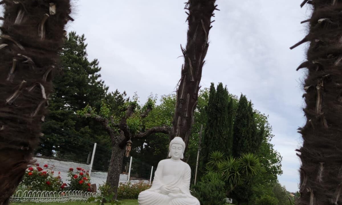 Photo of Outdoor in Montefiore Conca
