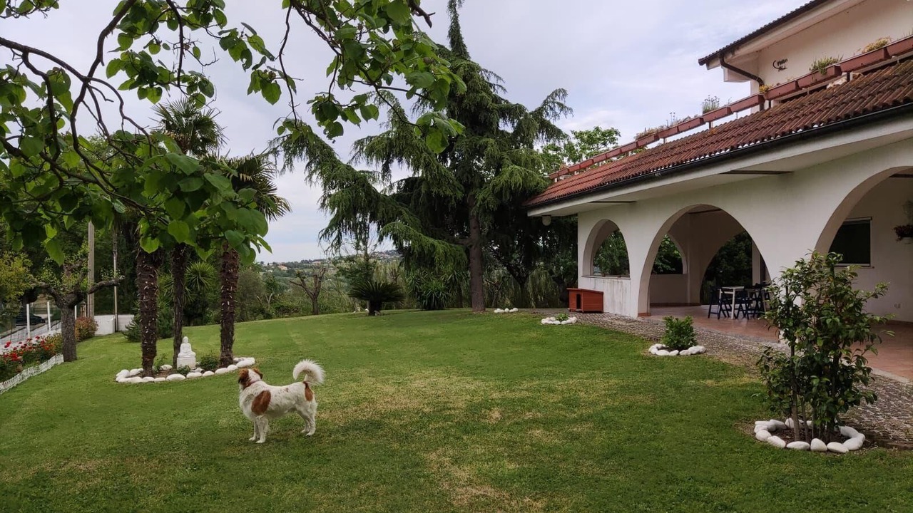 Photo of Outdoor in Montefiore Conca