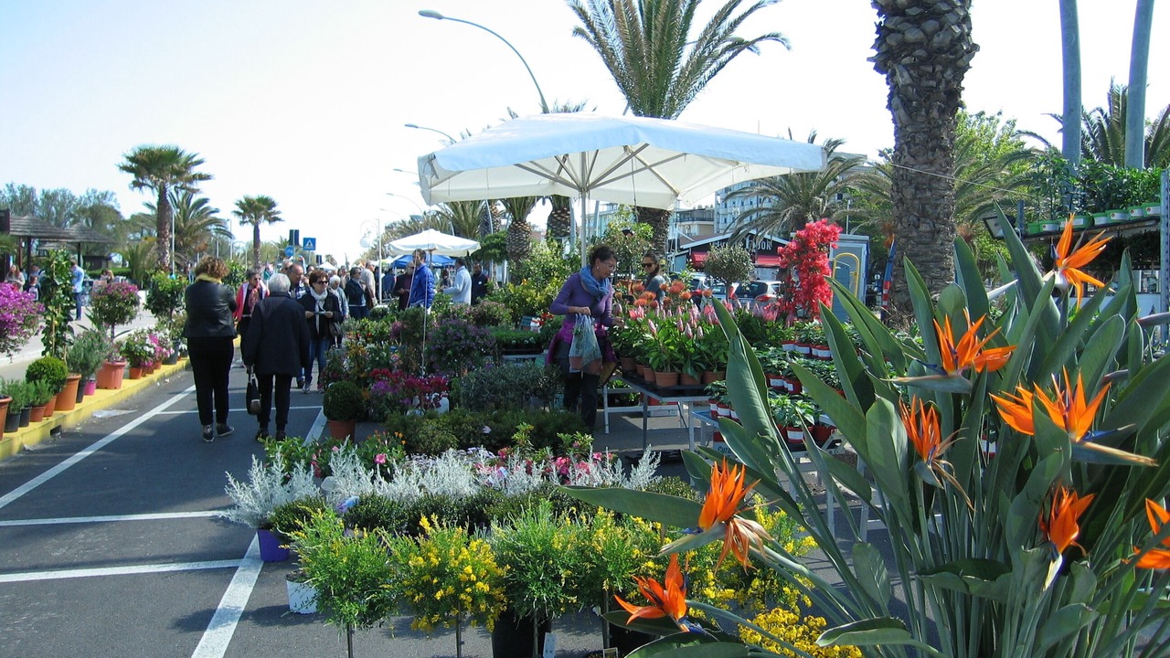 Photo of Outdoor in Monte Giberto