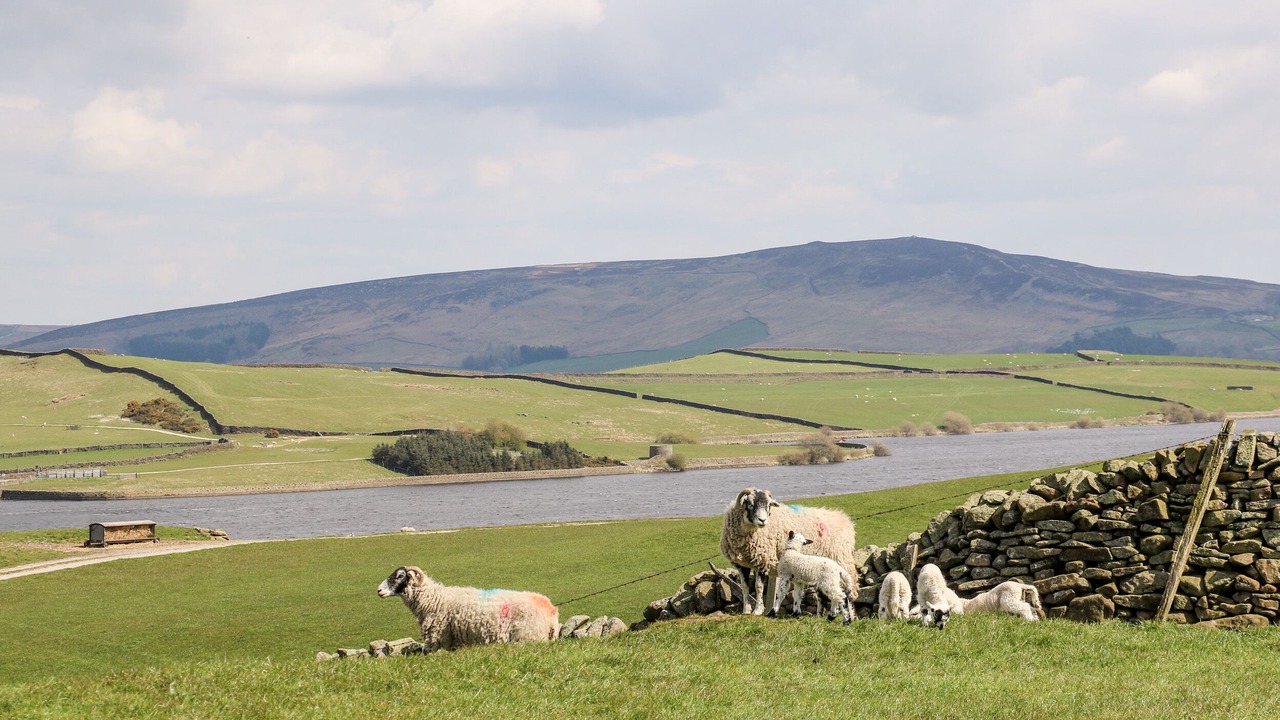 Photo of Outdoor in Gargrave