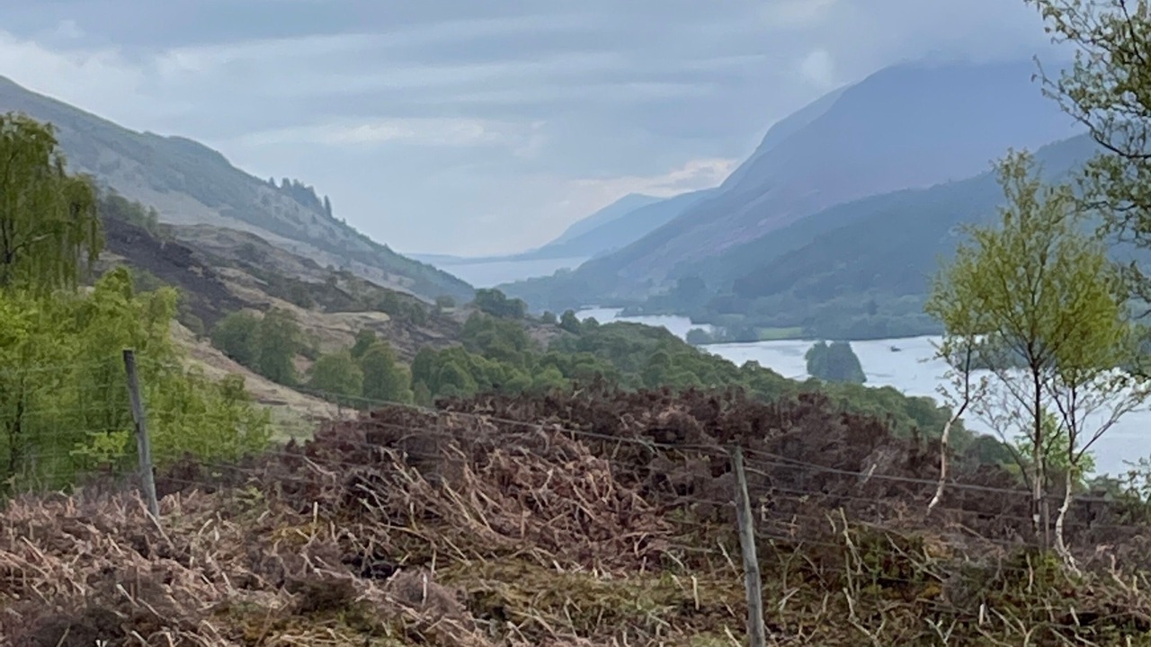 Photo of Others in Aberchalder