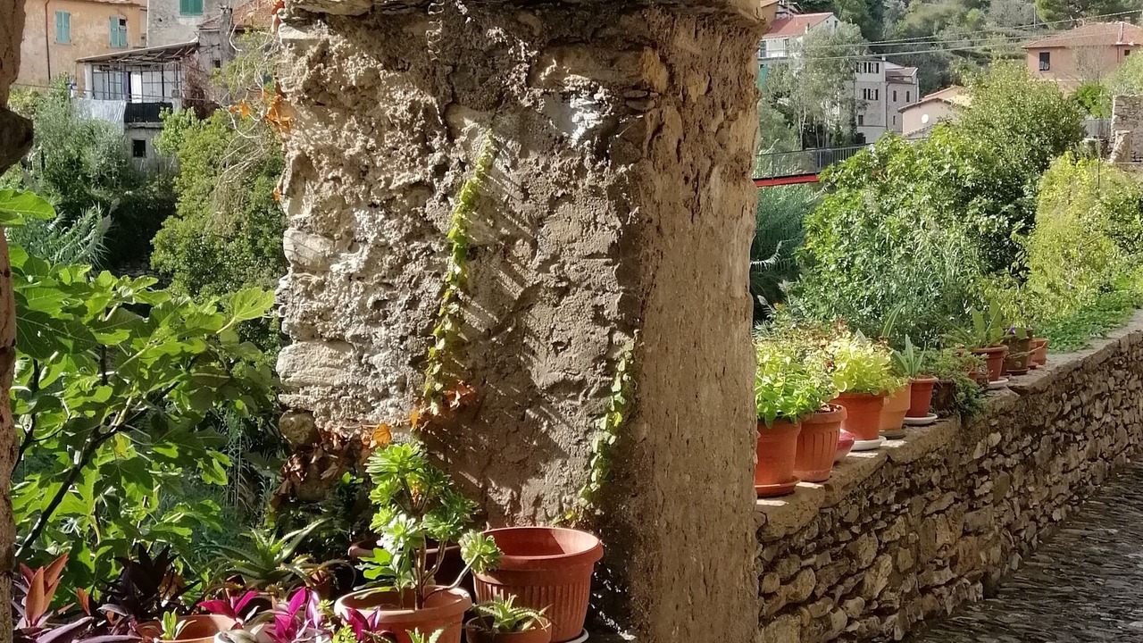 Photo of Outdoor in Dolcedo