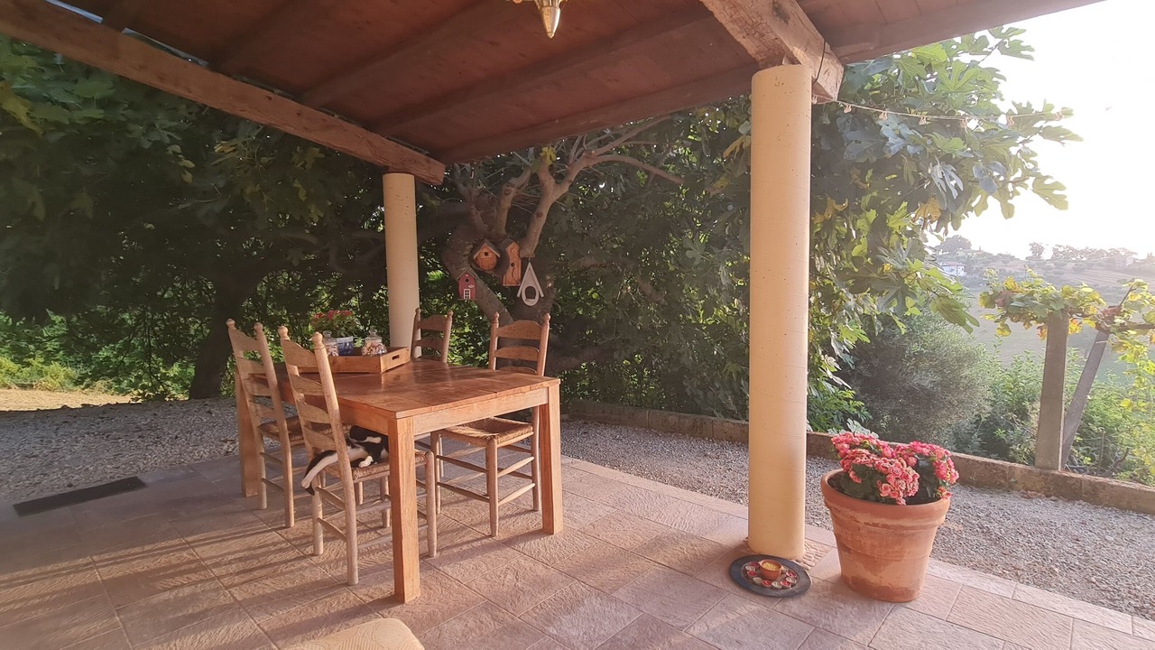 Photo of Outdoor in Mogliano