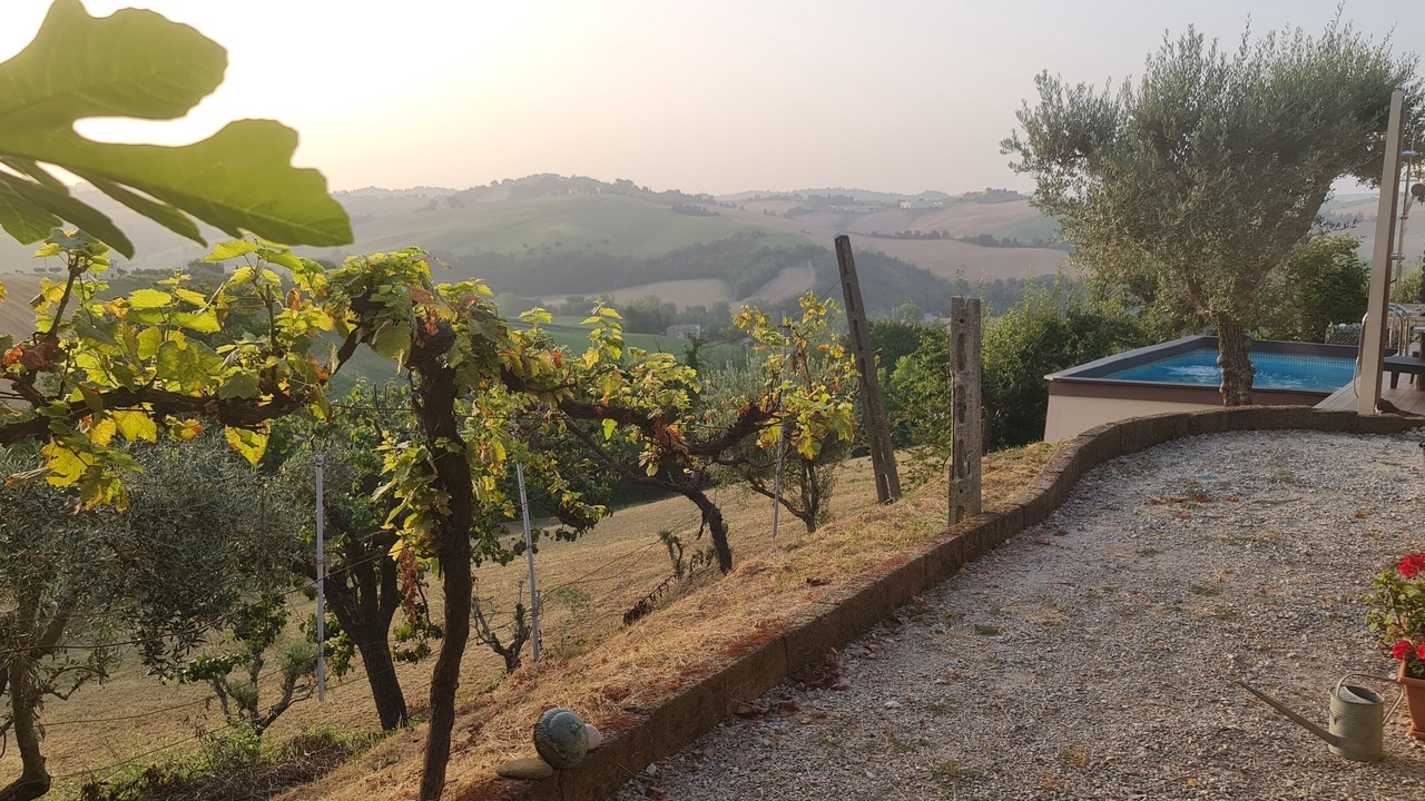Photo of Outdoor in Mogliano