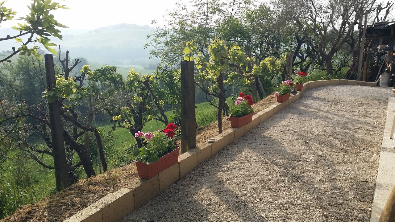 Photo of Outdoor in Mogliano