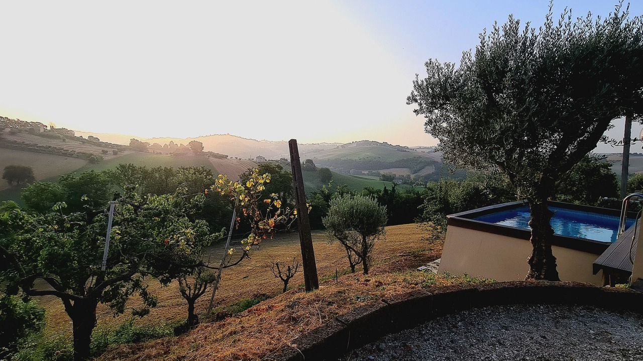 Photo of Outdoor in Mogliano