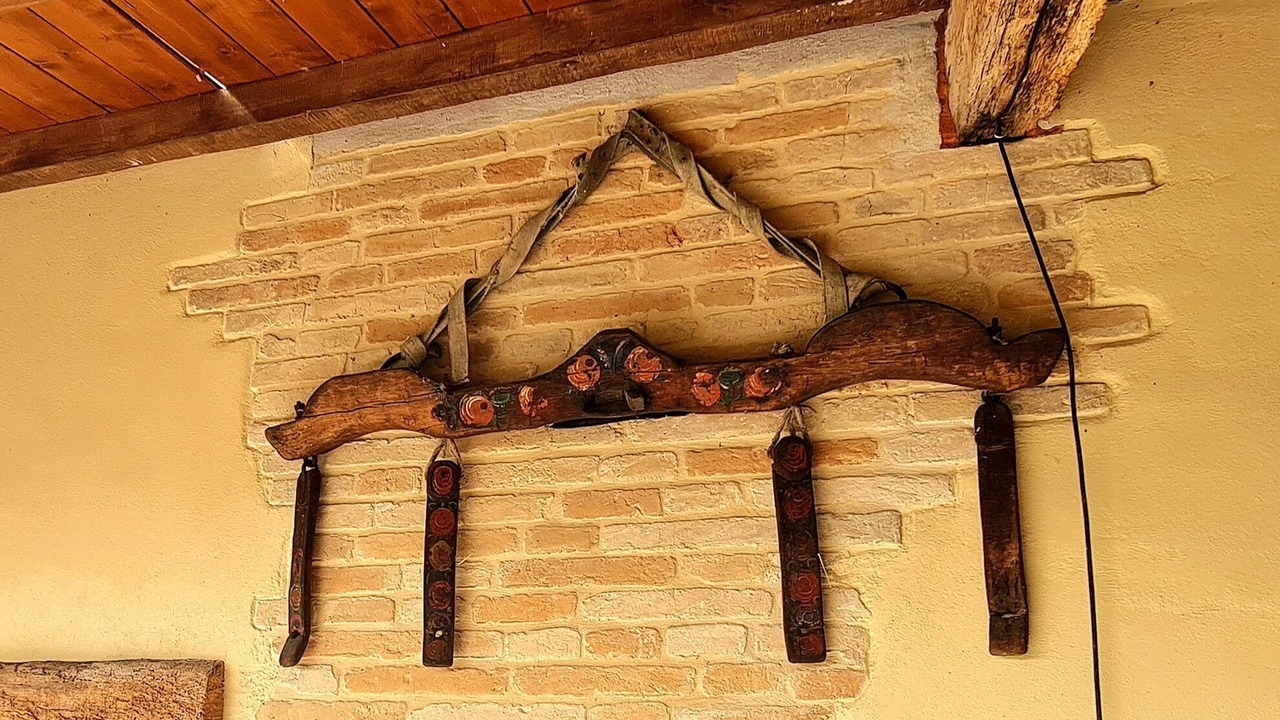Photo of Others in Mogliano