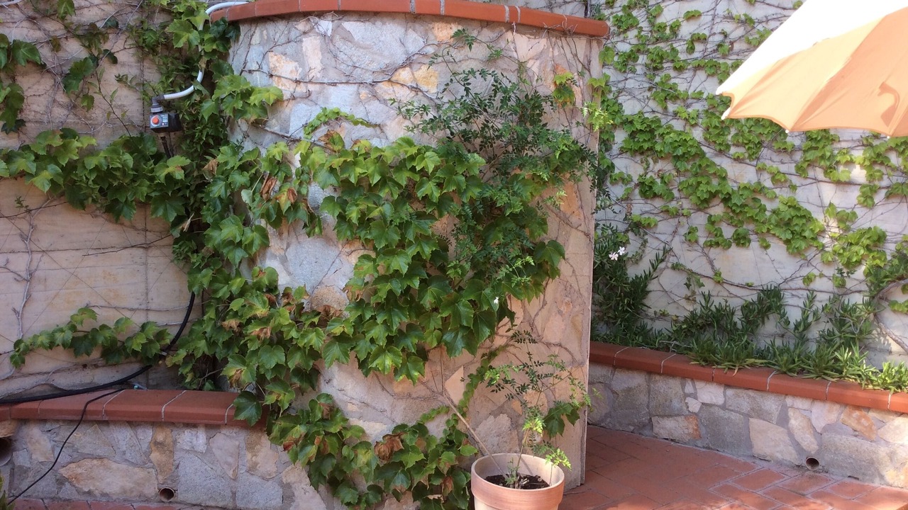 Photo of Outdoor in Quercianella