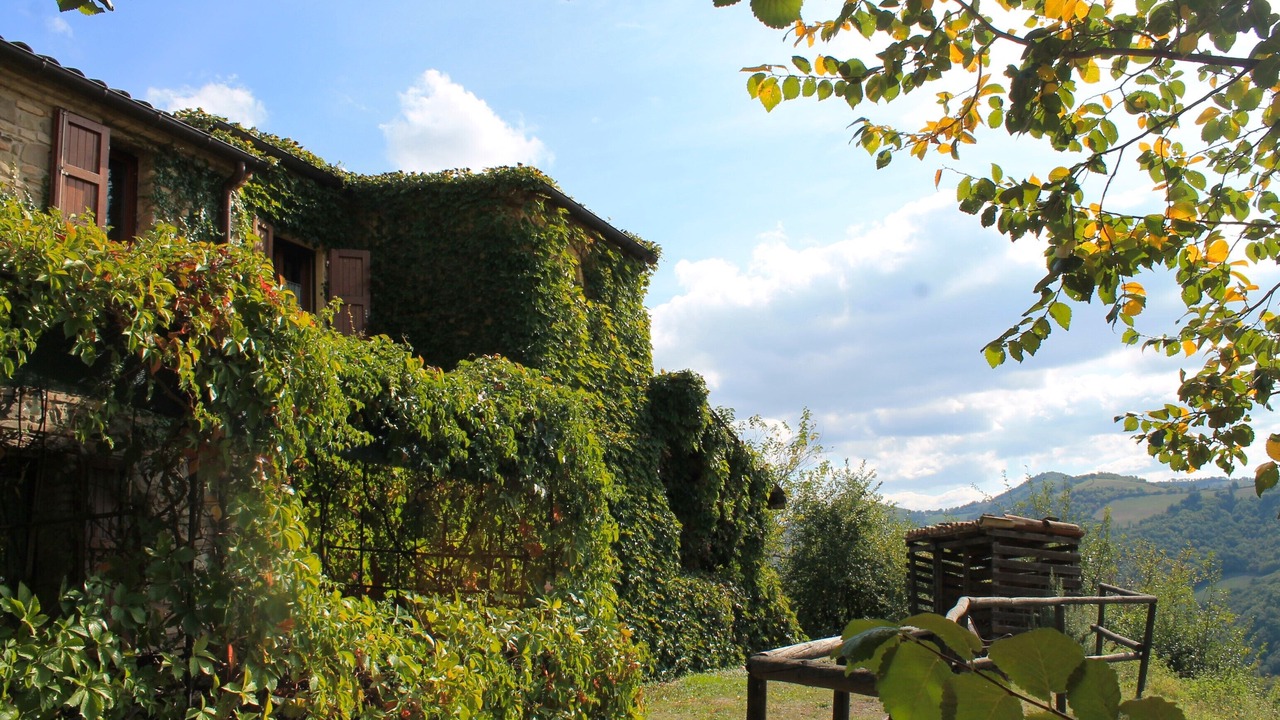 Photo of Outdoor in Urbino