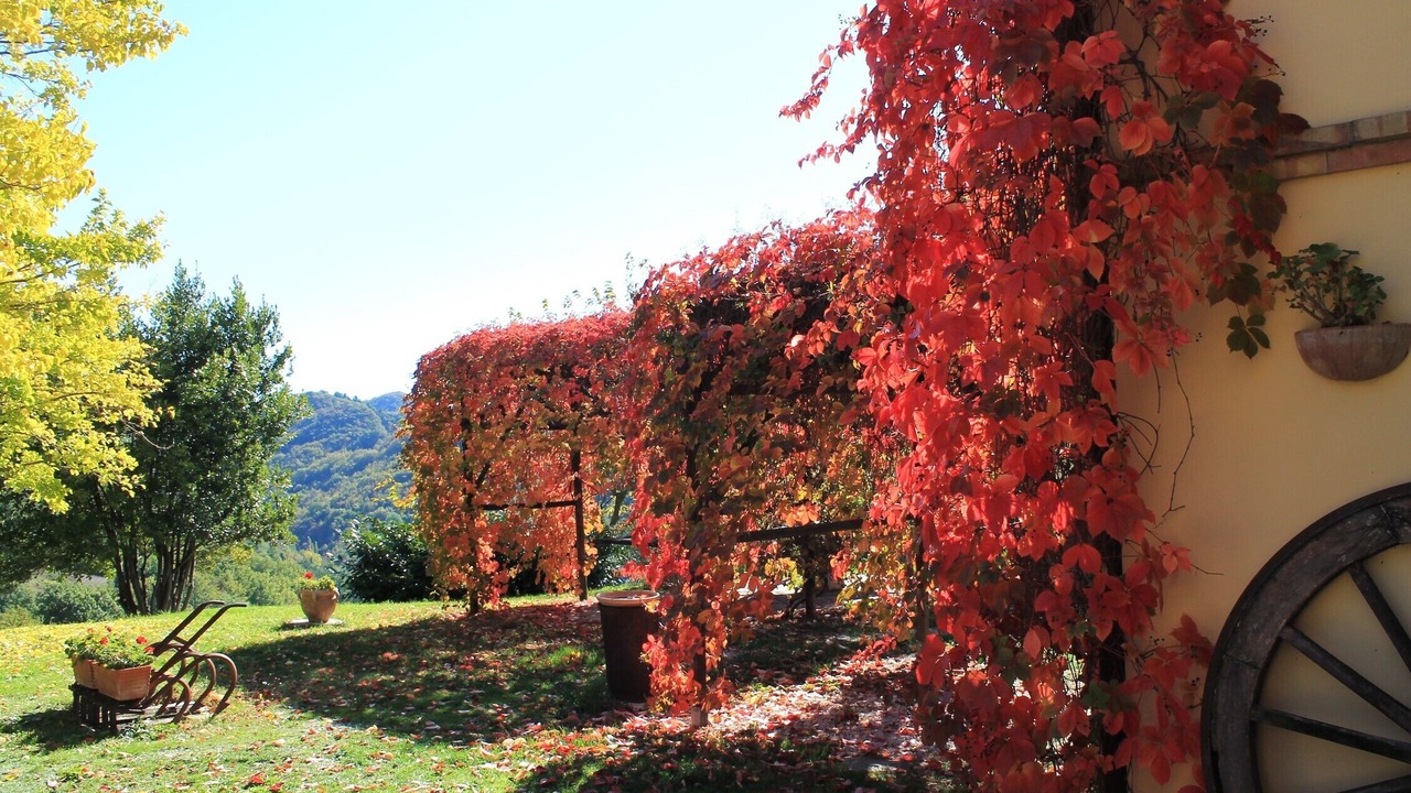 Photo of Outdoor in Urbino
