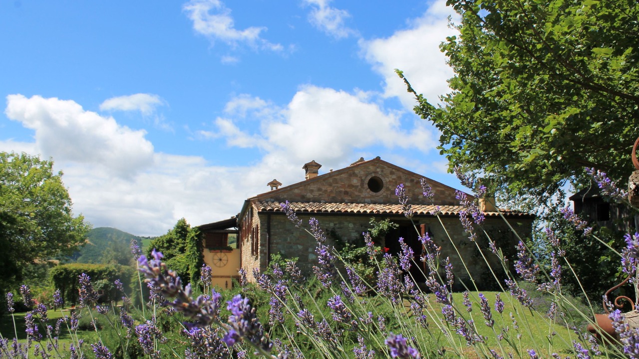 Photo of Outdoor in Urbino