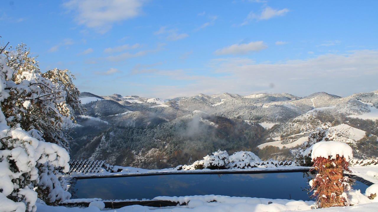 Photo of Others in Urbino