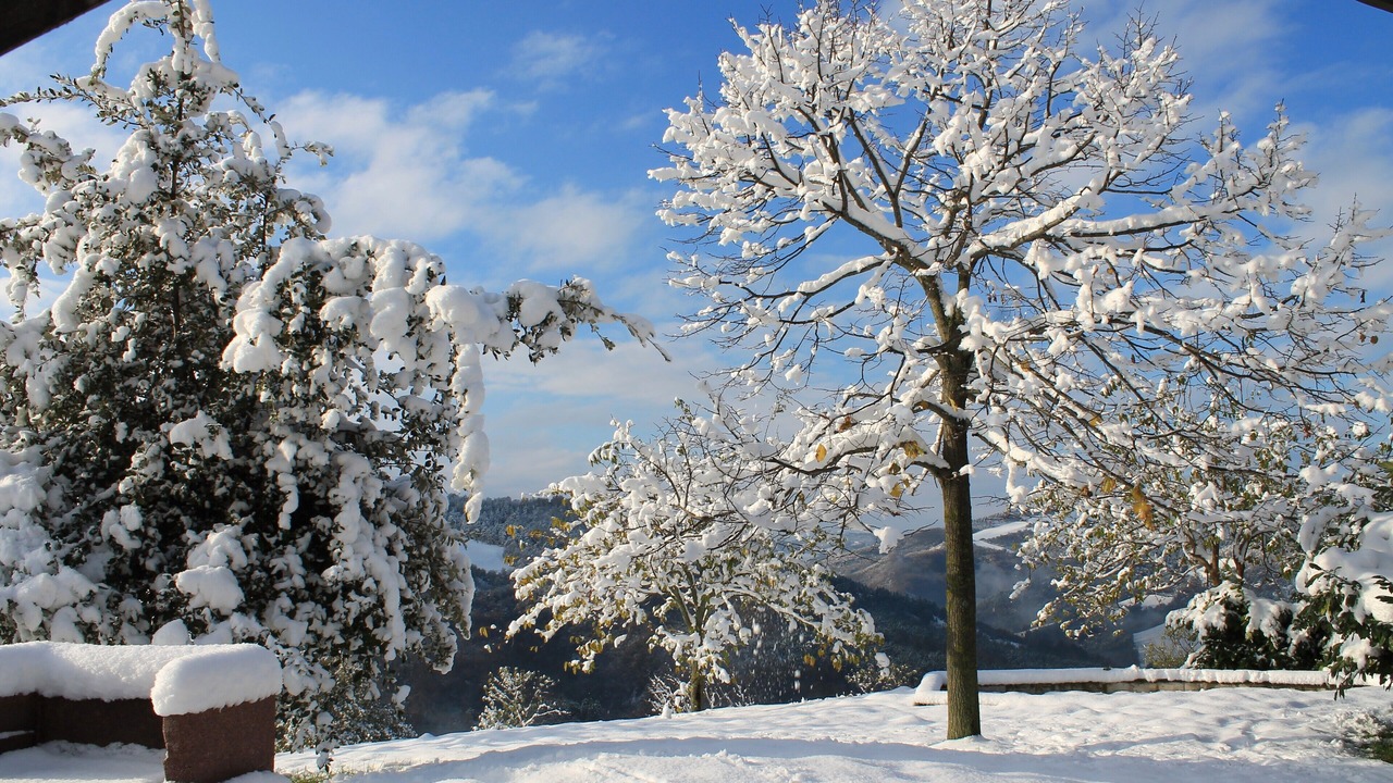 Photo of Outdoor in Urbino